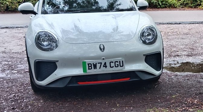 Funky Ora the cat’s whiskers