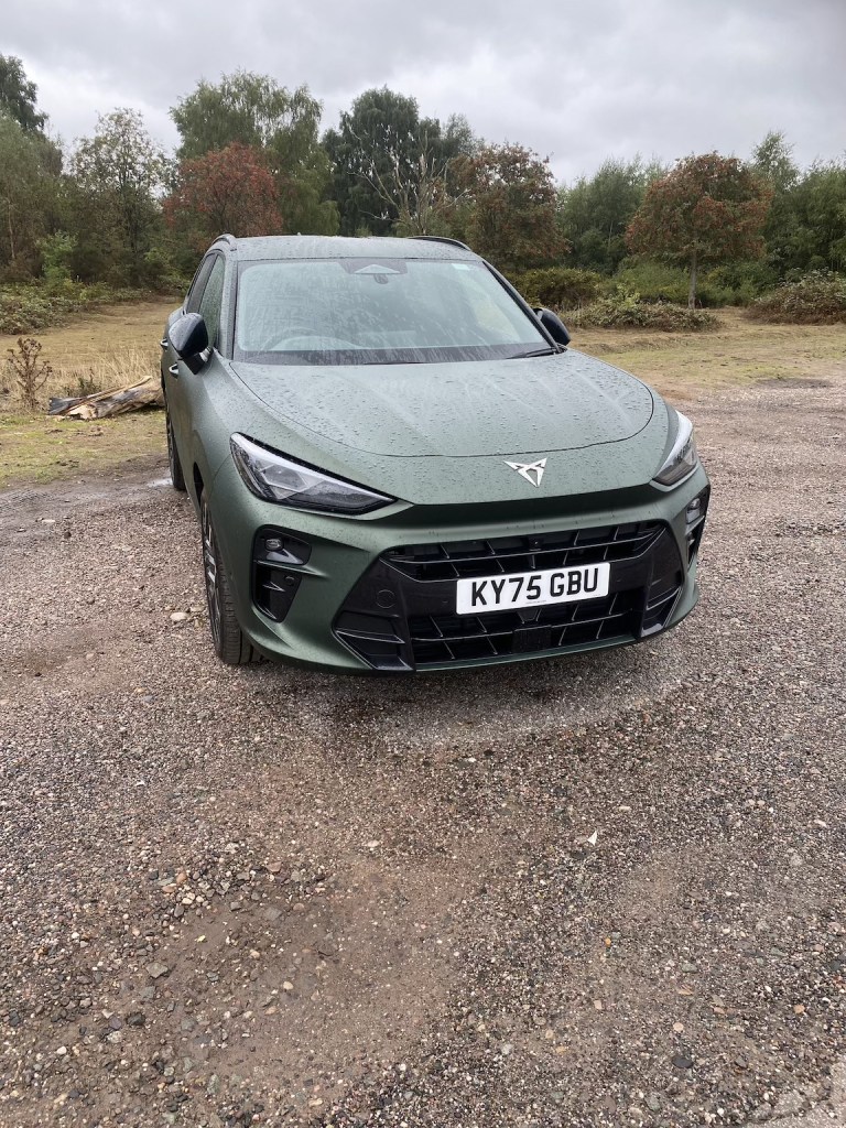 Front view of a green car parked on a gravel surface surrounded by trees in a natural setting on a cloudy day.